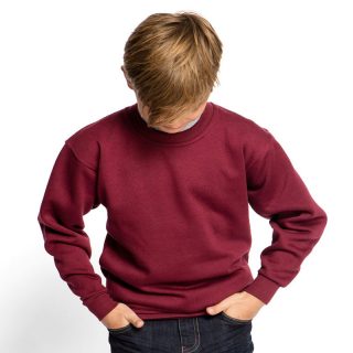 Children's Sweatshirt